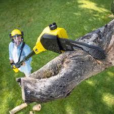 Best Leaf Removal  in Champion Heights, OH