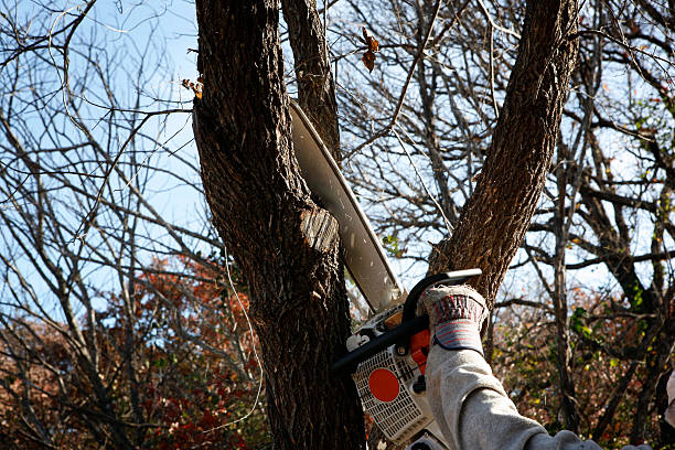 Soil Testing and Treatment in Champion Heights, OH